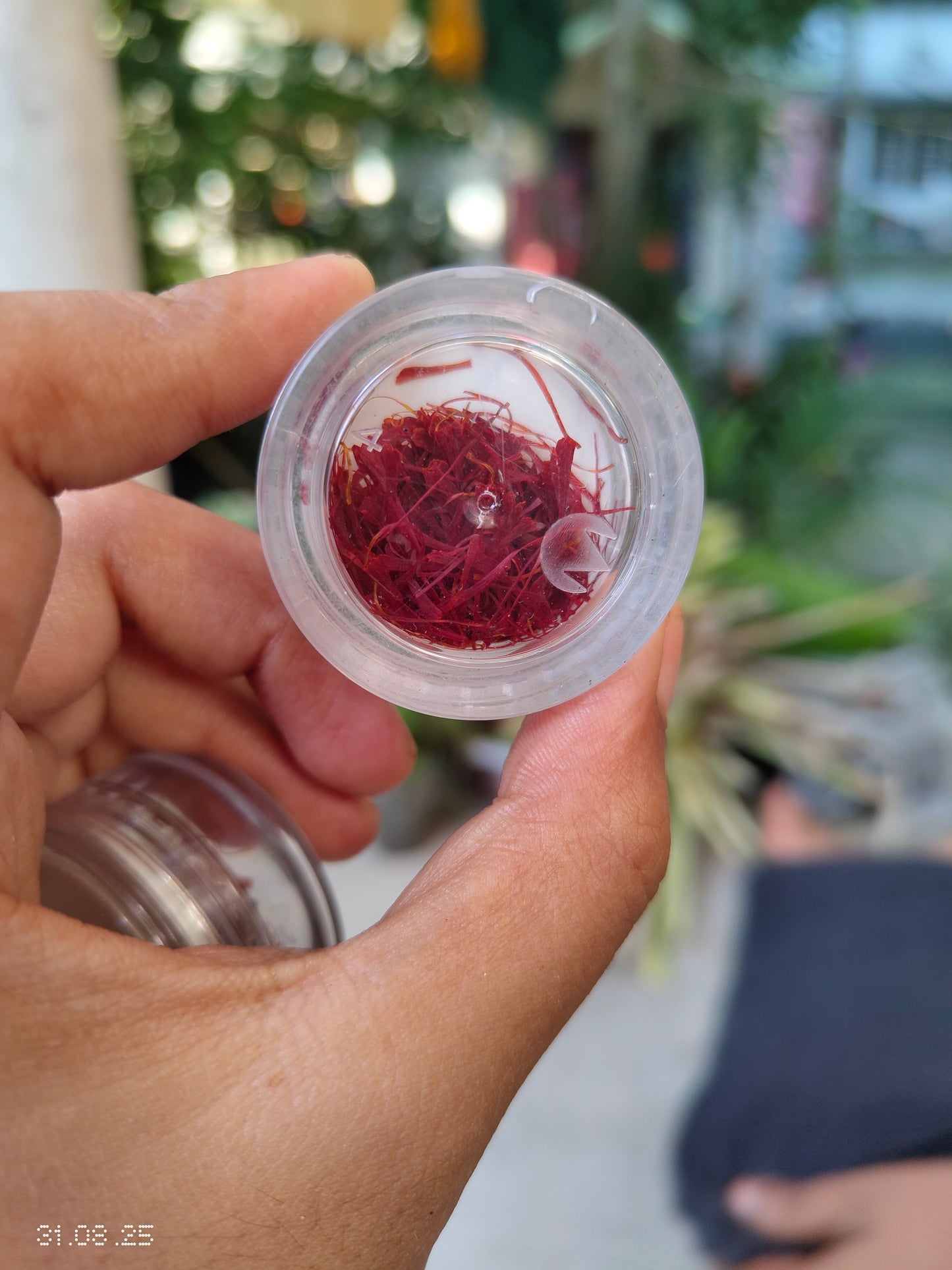 Saffron (কেশর)