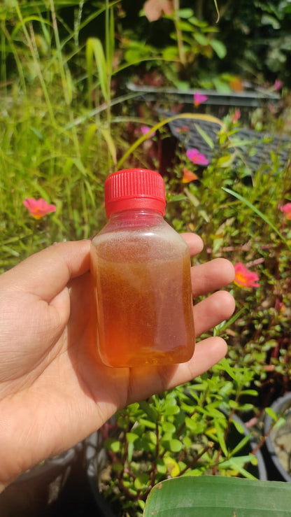 Sundarban Apiary Honey (সুন্দরবন এপিয়ারি মধু)
