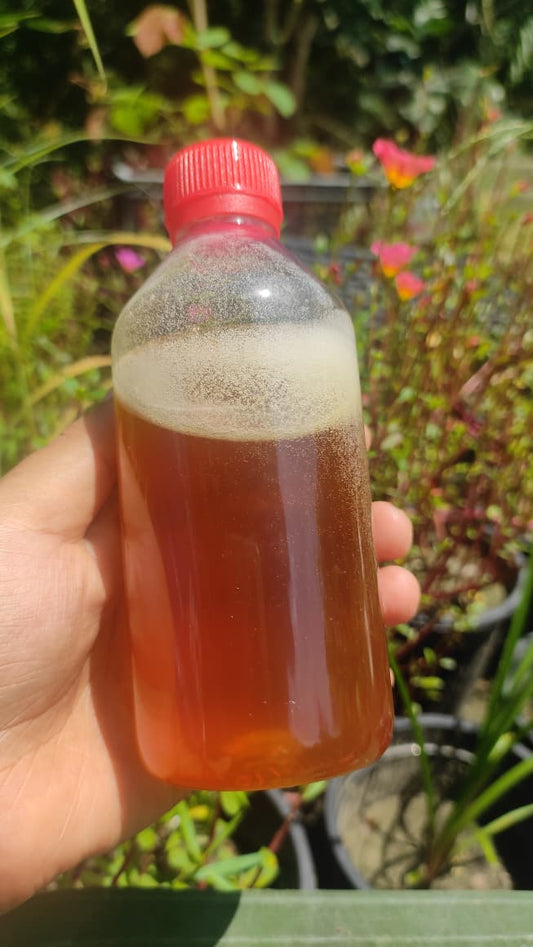 Sundarban Apiary Honey (সুন্দরবন এপিয়ারি মধু)
