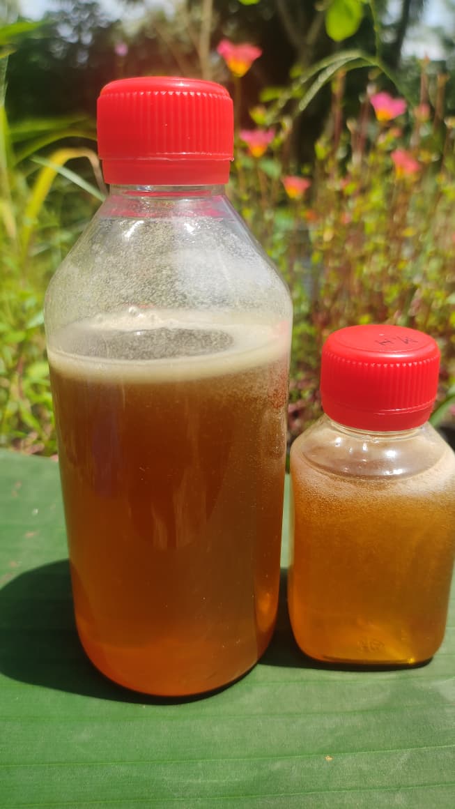 Sundarban Apiary Honey (সুন্দরবন এপিয়ারি মধু)