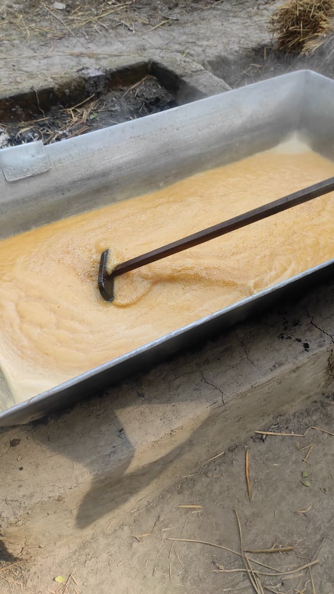 Dana Gur (দানা গুড়)