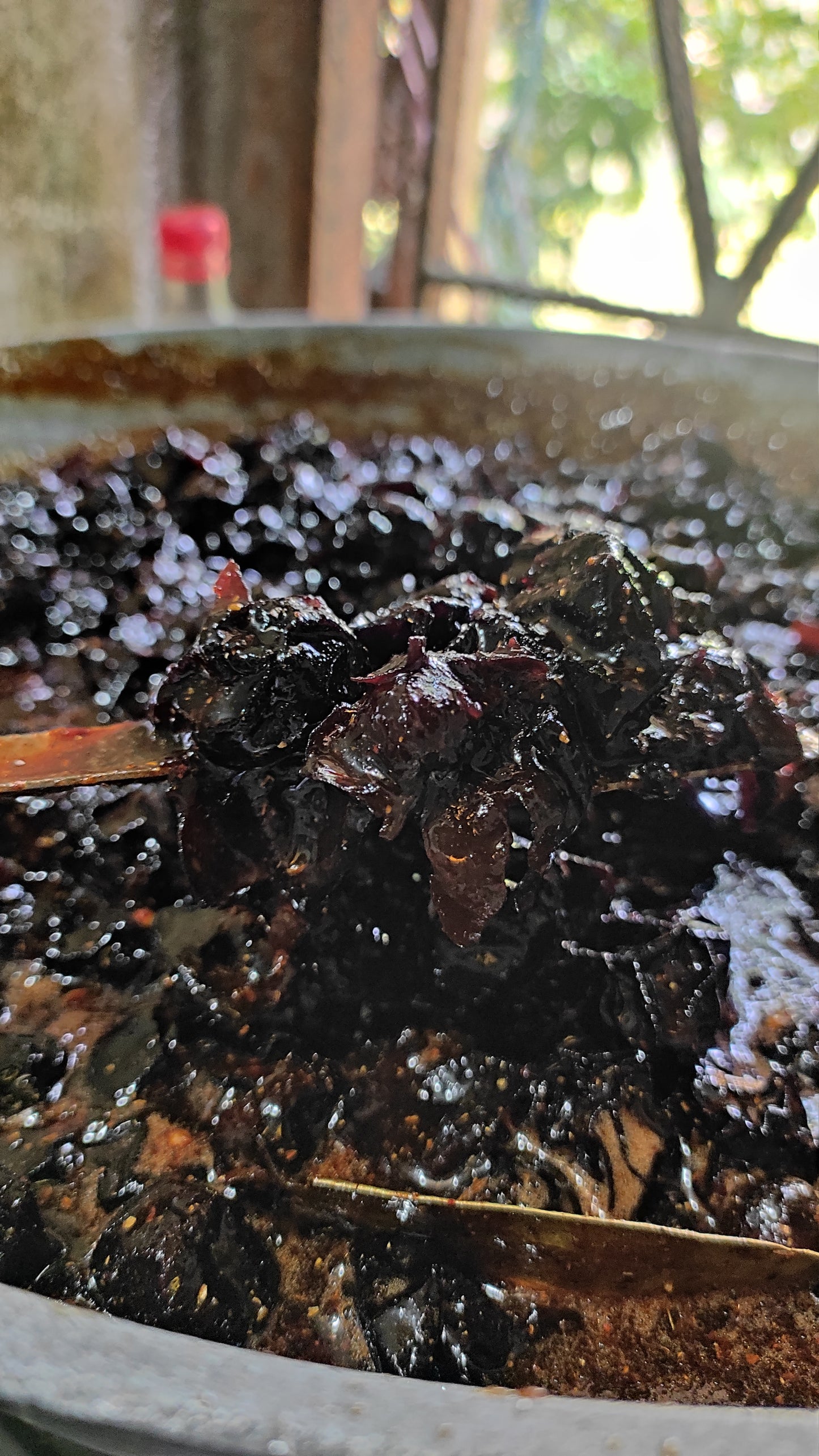 Kuler Achar (কুলের টক-ঝাল-মিষ্টি আচার)