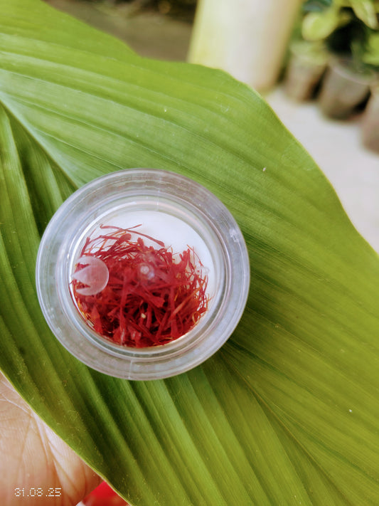 Saffron (কেশর)