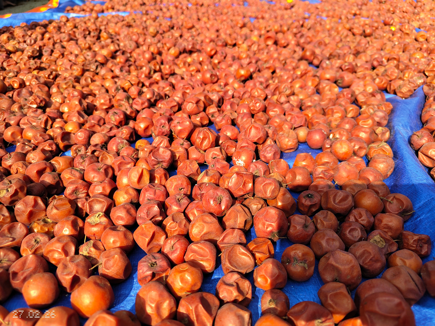 Kuler Achar (কুলের টক-ঝাল-মিষ্টি আচার)