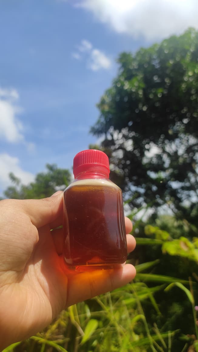 Eucalyptus Honey (ইউক্যালিপটাস ফুলের মধু)