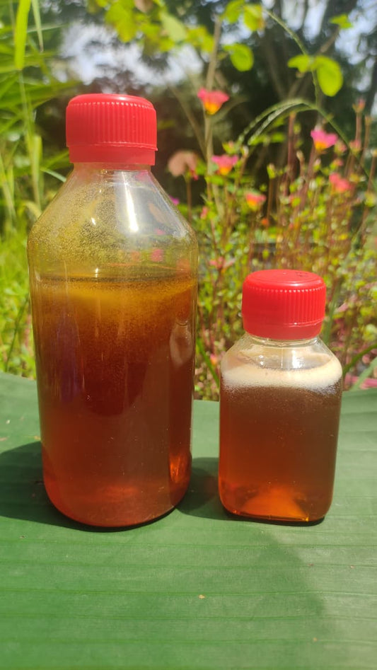 Eucalyptus Honey (ইউক্যালিপটাস ফুলের মধু)