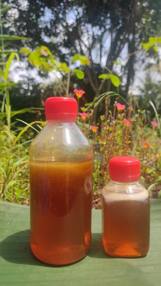 Eucalyptus Honey (ইউক্যালিপটাস ফুলের মধু)