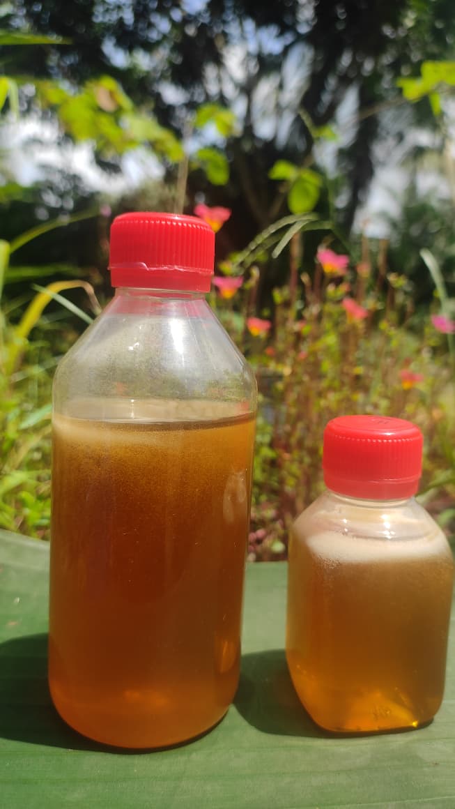 Moringa -Mustard-Coriander Mix Honey (সজনে-সর্ষে-ধনে মিশ্র মধু)