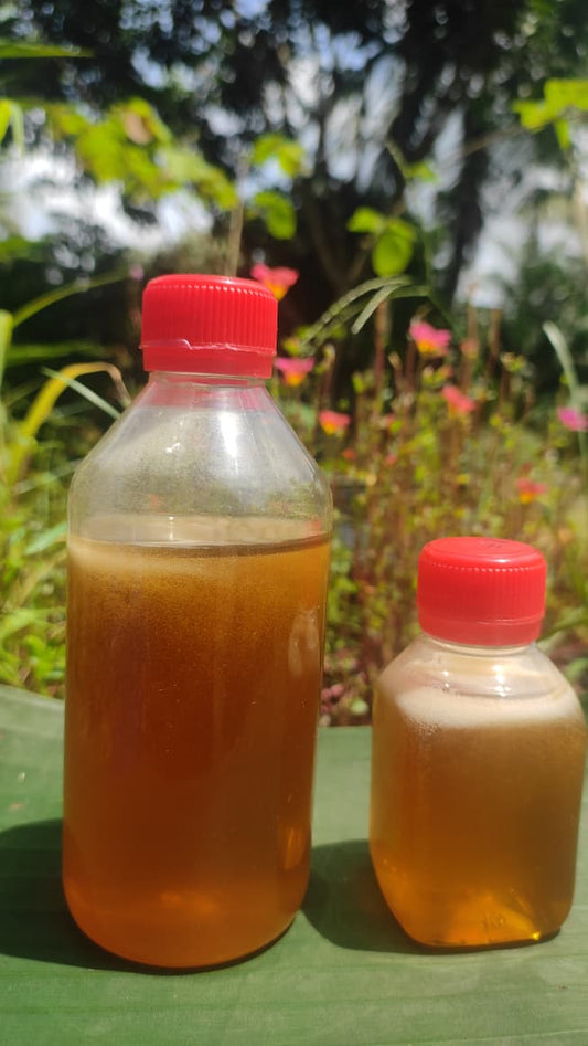 Moringa -Mustard-Coriander Mix Honey (সজনে-সর্ষে-ধনে মিশ্র মধু)