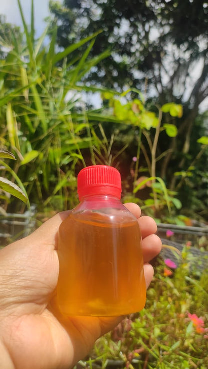 Litchi Honey (লিচু ফুলের মধু)
